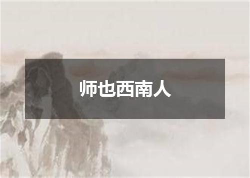 师也西南人