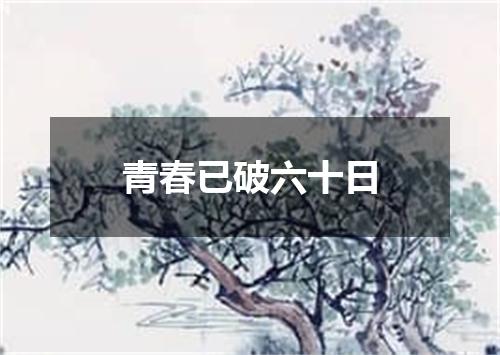 青春已破六十日