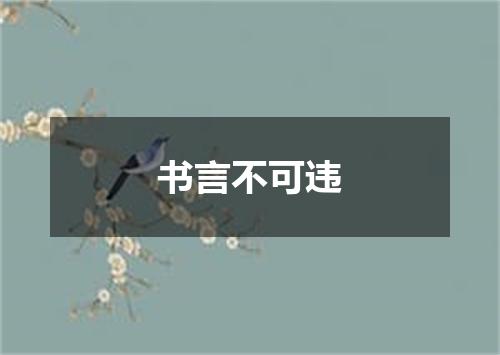 书言不可违