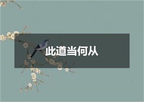 此道当何从