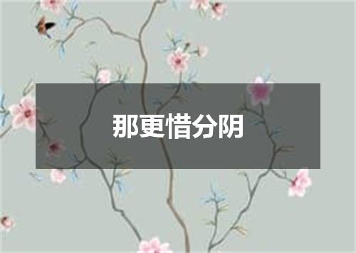 那更惜分阴