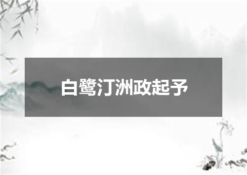 白鹭汀洲政起予