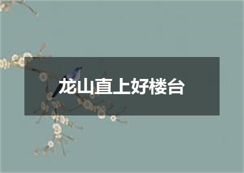 龙山直上好楼台