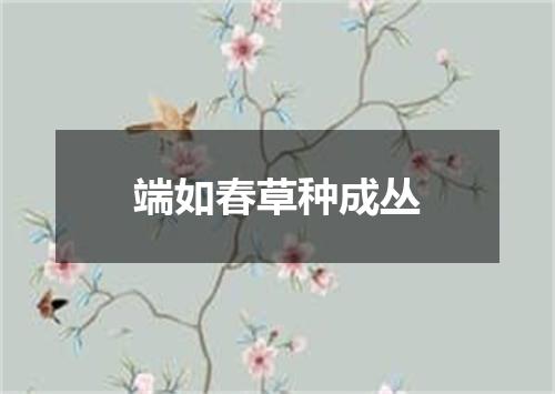 端如春草种成丛