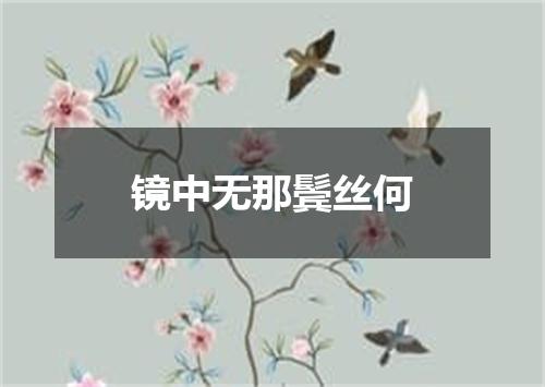 镜中无那鬓丝何