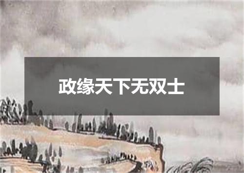 政缘天下无双士