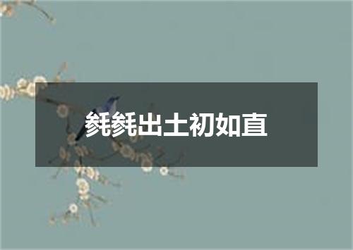 毵毵出土初如直