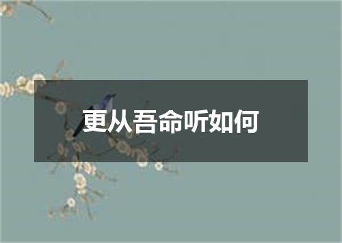 更从吾命听如何