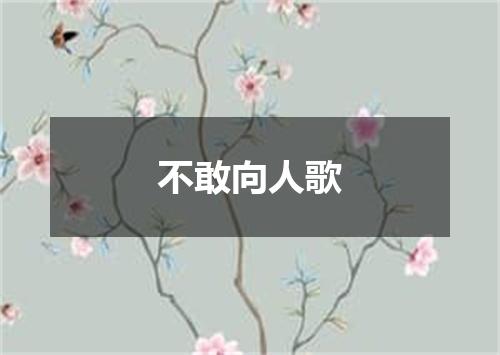 不敢向人歌