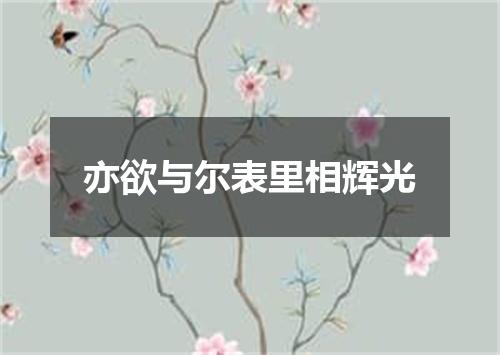 亦欲与尔表里相辉光