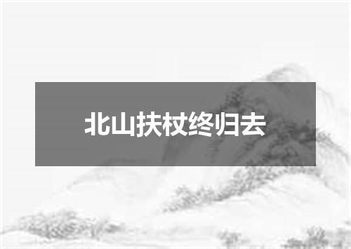 北山扶杖终归去