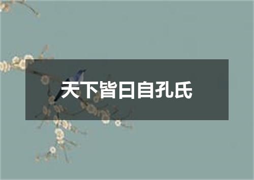 天下皆曰自孔氏