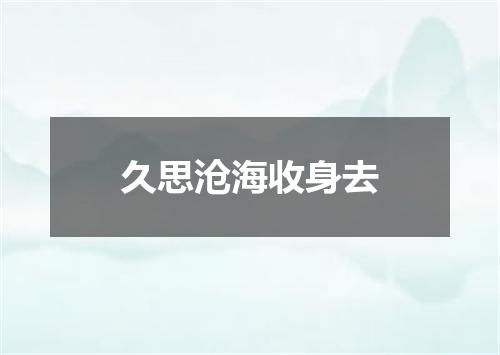 久思沧海收身去