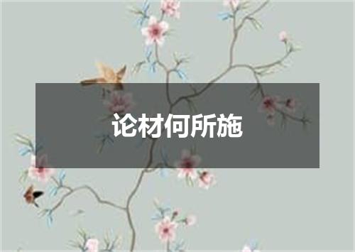 论材何所施