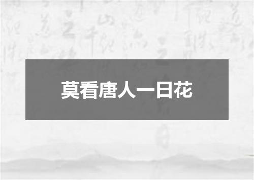 莫看唐人一日花