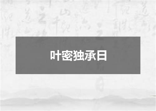 叶密独承日