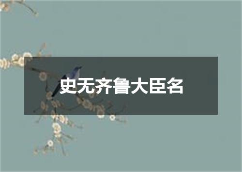 史无齐鲁大臣名