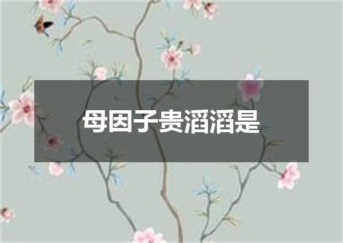 母因子贵滔滔是