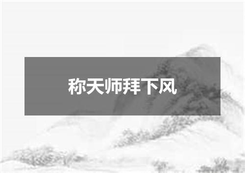 称天师拜下风