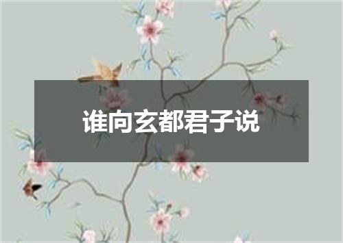 谁向玄都君子说