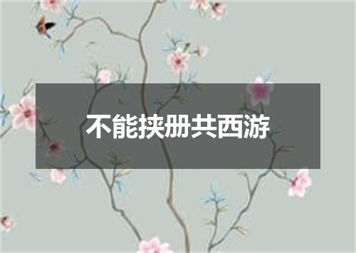 不能挟册共西游