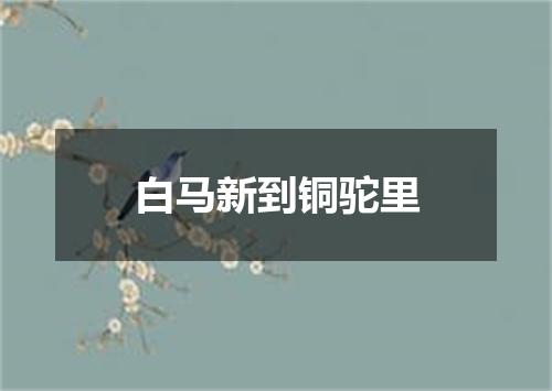 白马新到铜驼里