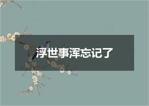 浮世事浑忘记了