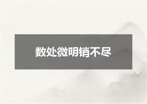 数处微明销不尽