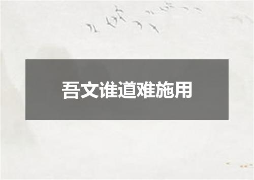 吾文谁道难施用