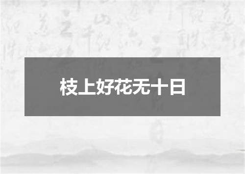 枝上好花无十日