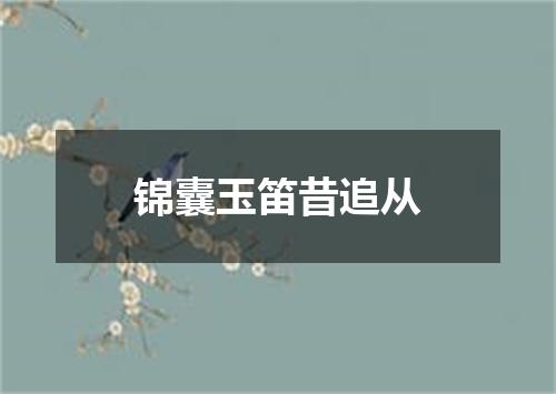 锦囊玉笛昔追从