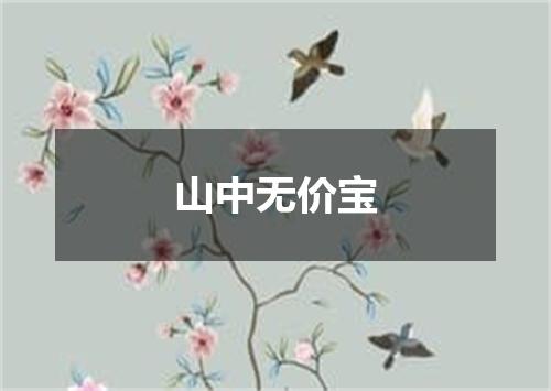 山中无价宝