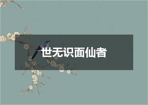 世无识面仙者