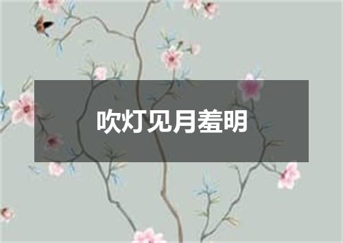 吹灯见月羞明