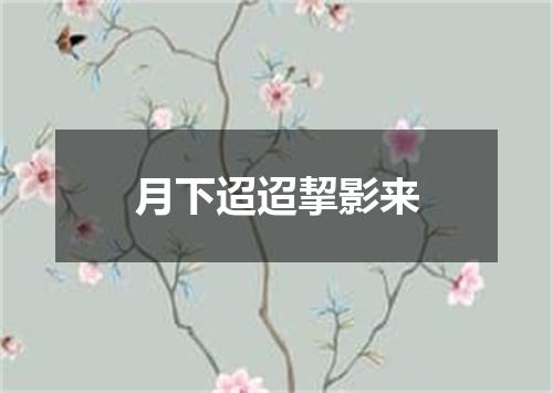 月下迢迢挈影来