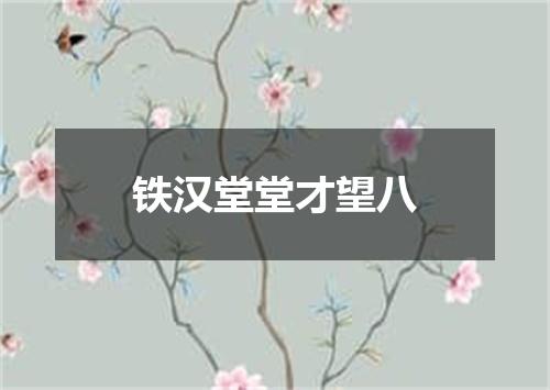 铁汉堂堂才望八