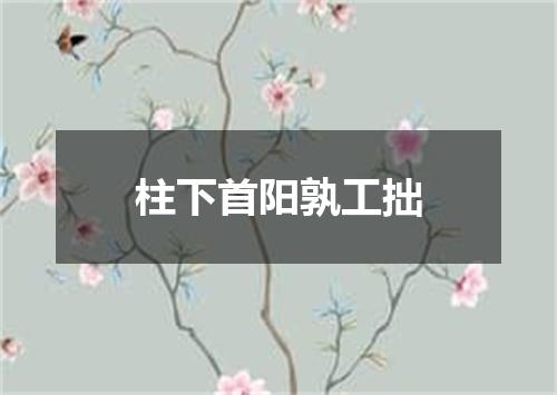 柱下首阳孰工拙