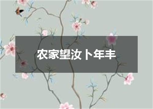 农家望汝卜年丰