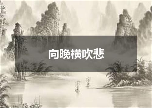 向晚横吹悲