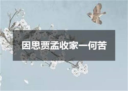 因思贾孟收家一何苦