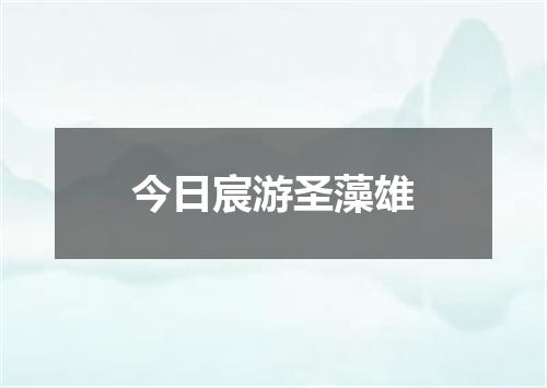 今日宸游圣藻雄