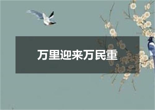 万里迎来万民重