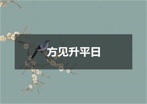 方见升平日