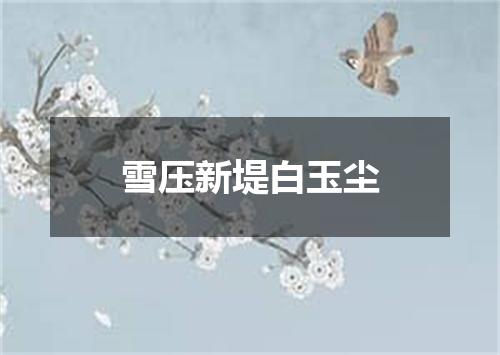 雪压新堤白玉尘