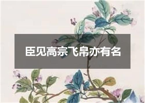 臣见高宗飞帛亦有名