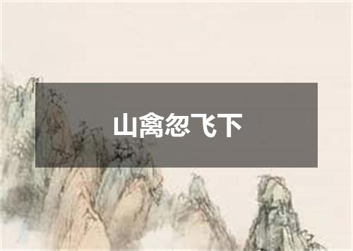 山禽忽飞下