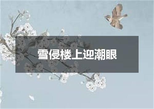 雪侵楼上迎潮眼