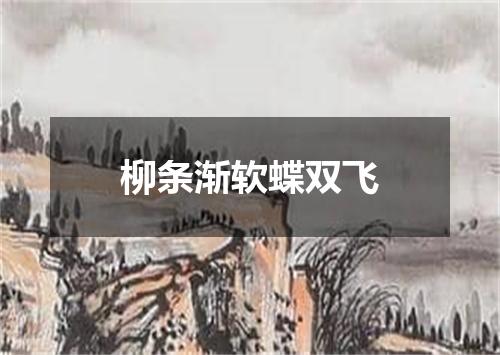 柳条渐软蝶双飞