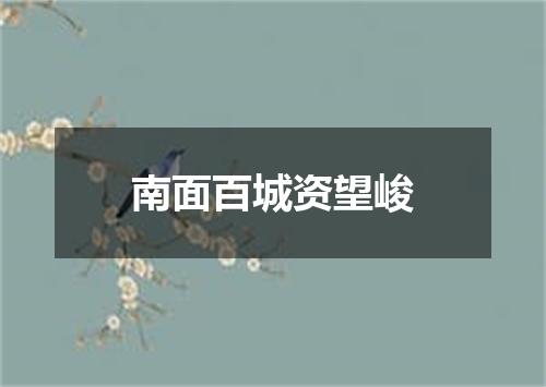 南面百城资望峻