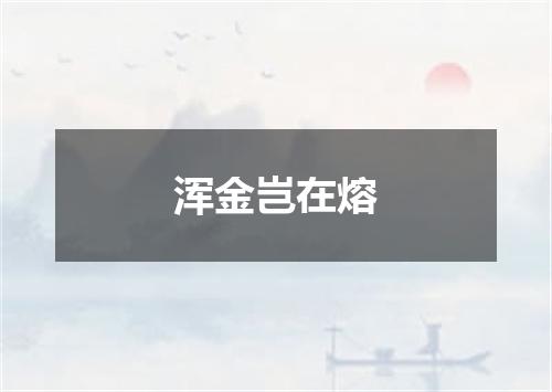 浑金岂在熔